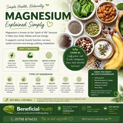 Magnesium — Explained Simply