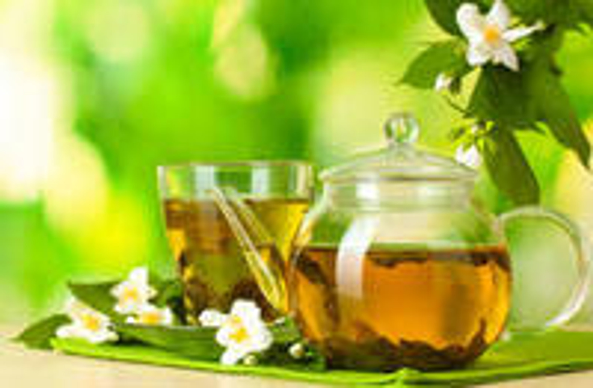 Why should you drink Neem Tea? All About Neem