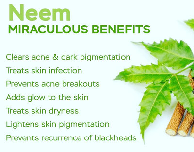 Top Ten Neem Products for a Healthy New Year and New You!