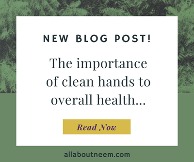 The Importance of Clean Hands to Overall Health