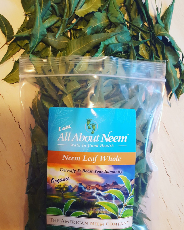 All About Neem Organic, natural and fresh Neem Tea Bags