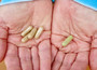 Compare our Super Strength Neem Leaf capsules to other brands.