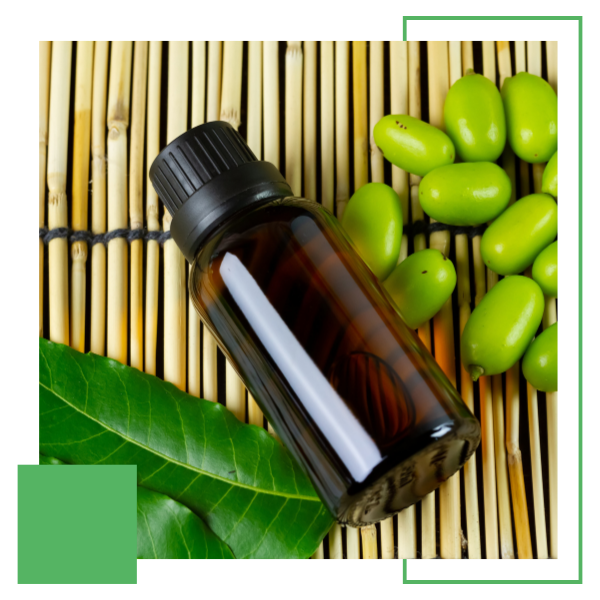 neem and neem product