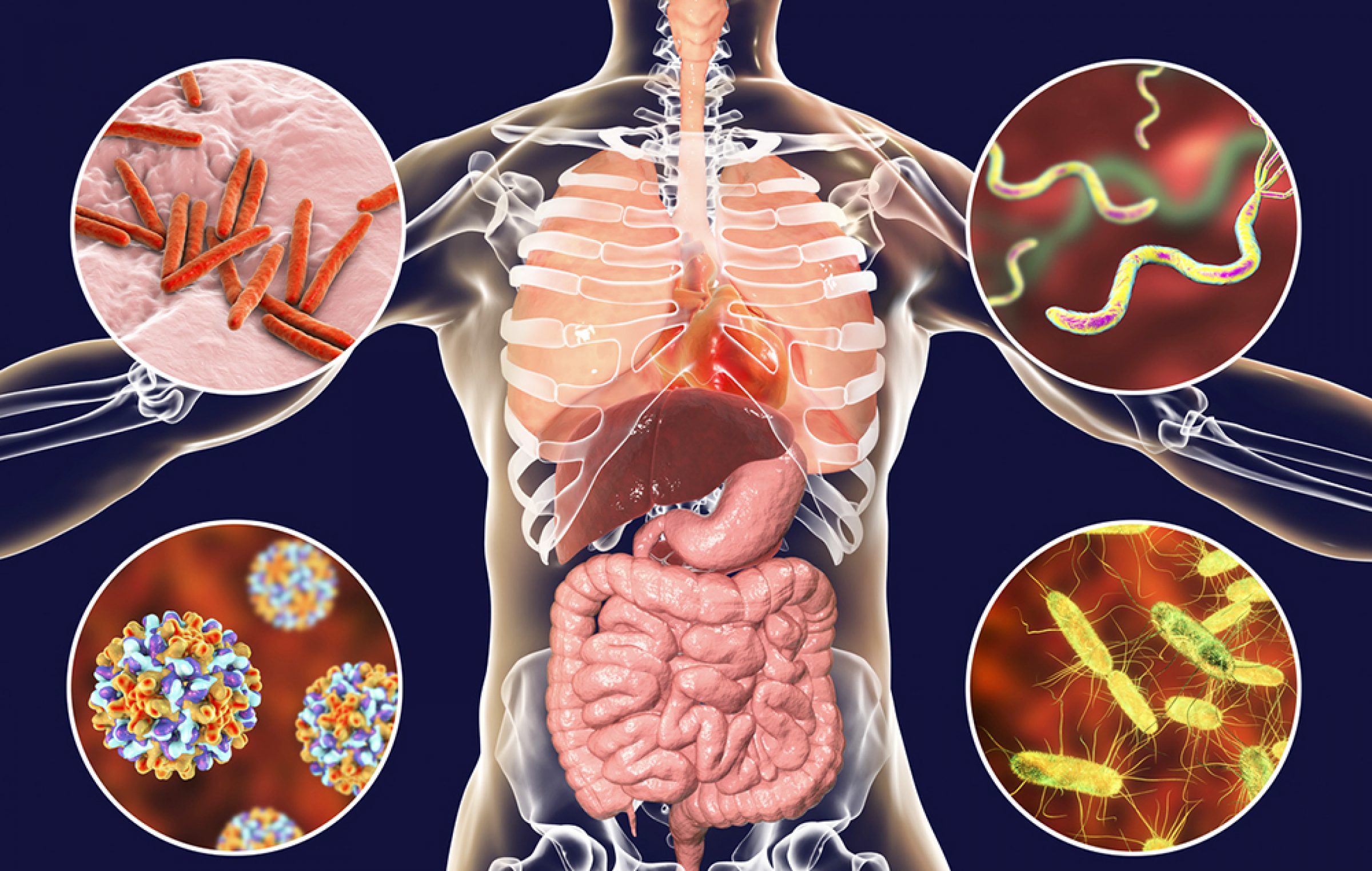 Neem – An Effective Treatment for Intestinal Parasites - All About Neem