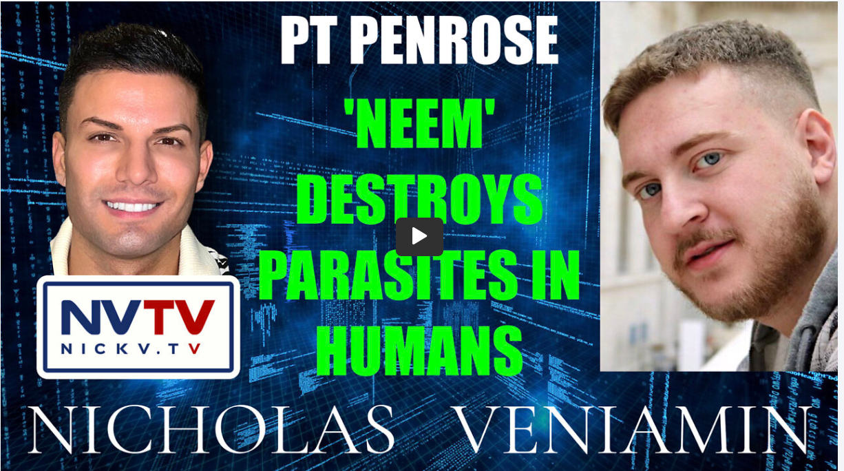 nick-pt-penrose-parasites-screenshot.png