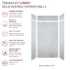 Transolid LWKX48368412-190 Lusso 48-in x 36-in x 84/12-in Glue To Wall 6-Piece Transition Shower Wall Kit, Bellanca
