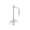 Double Handle Laboratory Faucet in Chrome