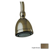 Multi Function Shower Head in English Bronze