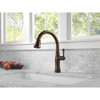 Single Handle Pull Down Kitchen Faucet in Venetian Bronze