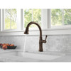 Single Handle Pull Down Kitchen Faucet in Venetian Bronze