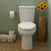 Dual Flush 0.92/1.28 gpf Elongated Right Height Two-Piece Toilet with 12-in Rough-In in White