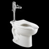 1.6 / 1.1 Gpf Dual Flush Everclean Toilet with Selectronic Exposed Battery Flush Valve System, in White