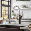 Kitchen Faucet With Pull-Down Spray 1.5 gpm in Cafe Brown/Stainless