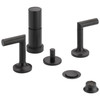 Bidet Faucet in Matte Black Finish Bidet Faucet in Matte Black Finish