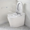 DXV AT200 LS SpaLet Integrated Electronic Bidet Toilet, in Canvas White