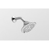 Toto TS200A65#BN Multi Function Shower Head in Brushed Nickel