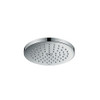 Hansgrohe 27656001 Raindance S 2.0 GPM 1-Jet P Showerhead 180, In Chrome Hansgrohe 27656001 Raindance S 2.0 GPM 1-Jet P Showerhead 180, In Chrome