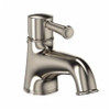 Single-Handle Bathroom Faucet in Brushed Nickel