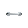 Brizo 69550-PC Tissue Holder in Polished Chrome