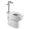 American Standard 2854.111.020 Commercial Toilet with Manual Flushing Valve Combo