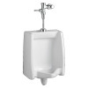 Commercial Urinal and Manual Flush Valve Combo