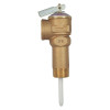 T and P Relief Valve, 6-1/2-in H x 1-15/32-in W T and P Relief Valve, 6-1/2-in H x 1-15/32-in W