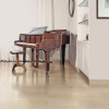 Floor and Wall Tile 12X24 Cream (Box of 7) Floor and Wall Tile 12X24 Cream (Box of 7)