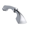 Hand Shower Assembly in Polished Chrome