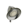 Multi-Function Shower Head in Brilliance Stainless