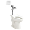 Commercial 15-in High Everclean Elongated Toilet Bowl with Slotted Rim for Bedpan