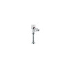1 GPF Toilet Flushometer with 1-1/2in Top Spud in Chrome