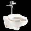 Everclean Elongated Bowl Only, Top Spud with Slotted Rim For Bedpan Holding, in White
