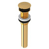 Non Slotted Touch Seal Dome Drain with 6-in Tailpiece in Italian Brass