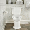 2-Piece Right Height Elongated Toilet in White 2-Piece Right Height Elongated Toilet in White