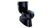 1.0 GPF Two-Piece Elongated Toilet with Single Flush in Ebony 1.0 GPF Two-Piece Elongated Toilet with Single Flush in Ebony