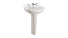Toto LPT241G#11 Single Hole Pedestal Lavatory with CeFiONtect in Colonial White