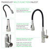 Transolid Kitchen/Laundry Faucet with Dual Spray, Flex Neck, 1.8 GPM, and Garden Hose Adapter in Black