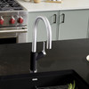 Blanco 526398 Urbena Single-Lever Pull-Down Kitchen Faucet with 1.5 GPM in Coal Black/Chrome