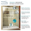 Frameless bypass shower door in brushed stainless frame finish with smooth clear glass texture and classic Riley handles 48-in W x 80-in H