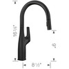 Blanco 443020 Rivana Pull-Down Kitchen Faucet 1.5 GPM in Matte Black