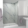 Transolid EHTB595297610C-BK-BS Elizabeth 59.5-in W x 76-in H Hinged Shower Door in Brushed Stainless with Clear Glass