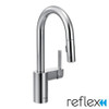 Moen 5965 Single Handle Pulldown Bar Faucet in Chrome