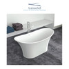Transolid SAN6030-T4230 60-in x 30-in x 24-in Freestanding Tub and Faucet Kit, White