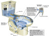 H2Option Dual Flush Round Front 0.92/1.28 Gpf 2-Piece Toilet - Lined Tank, in Linen