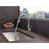 Single Handle Pull-Down Kitchen Faucet in Chrome Finish