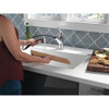 Single Handle Pull-Out Kitchen Faucet in Chrome Finish