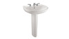 Single Hole Pedestal Lavatory with CeFiONtect in Colonial White
