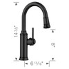 Blanco 443025 Empressa Pull-Down Bar Faucet 1.5 GPM in Matte Black