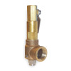Apollo 523FEBKMAA0450 Bronze POP Safety Relief Valve, MNPT Inlet Type, FNPT Outlet Type