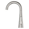 Grohe 30026DC2 Ladylux 1.75 GPM Pillar Tap with Filter Function in Supersteel Infinity Finish